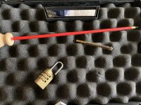 Walther gold cup .22