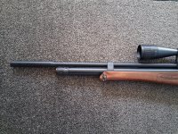 Hatsan bt65 sb carnivore