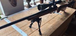 CZ 452 .17 HMR