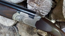 Beretta 686 Silver Pigeon 1