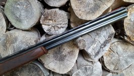 Beretta 686 Silver Pigeon 1
