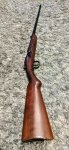 . 22 lr flobert enkelschots