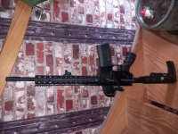 Oberland arms oa 15