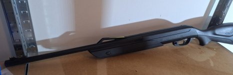 gamo co2 extreme co2