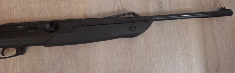 gamo co2 extreme co2