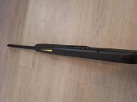 gamo co2 extreme co2