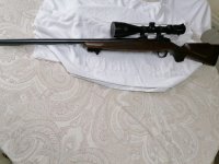 SAKO Model 85 Varmint,  in kaliber 223 rem.
