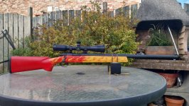 REMINGTON 700 Custom