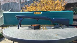 REMINGTON 700 Custom