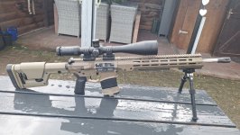 Diamondback db10 ar10 .308