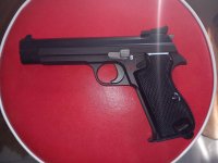 Sig 210-6