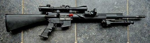 Olympic Arms AR-15 IPSC