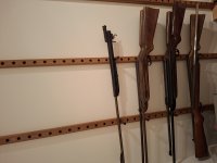 Collectie luchtbuksen (voornamelijk Diana)