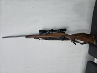 300 magnum Weatherby mark 5