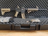 Smith & Wesson M&P 15-22 (FDE)