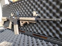 Smith & Wesson M&P 15-22 (FDE)