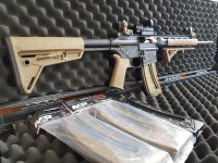 Smith & Wesson M&P 15-22 (FDE)