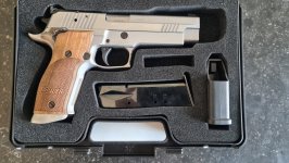 Sig Sauer P226