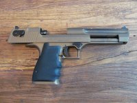 IWI Dessert Eagle .44