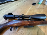 Winchester 308 semi auto