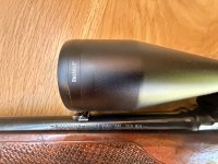 Winchester 308 semi auto