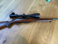 Winchester 308 semi auto