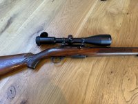 Winchester 308 semi auto