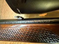 Winchester 308 semi auto