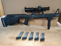 Walther G22 .22LR (Ex mounts en richtkijker)