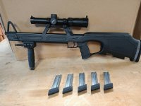 Walther G22 .22LR (Ex mounts en richtkijker)