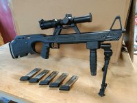 Walther G22 .22LR (Ex mounts en richtkijker)