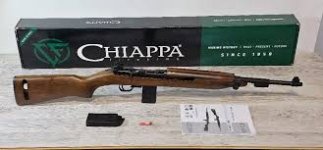 M1 Chiappa