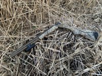 Browning cynergy wicked wing limited edition