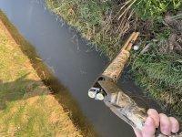 Browning cynergy wicked wing limited edition