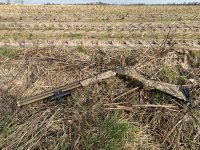 Browning cynergy wicked wing limited edition