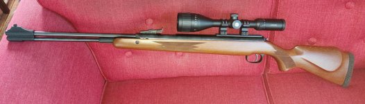 Diana Magnum 460 met kijker