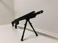 LDT AR15