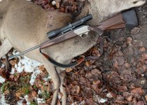 Blaser r93 30-06 met .243 Wisselloop en Zeis kijkers