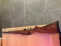 cz 452 american in cal .17 hmr