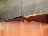 cz 452 american in cal .17 hmr