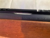 cz 452 american in cal .17 hmr