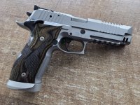 Sig sauer p226 x5 skeleton