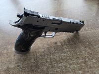 Sig sauer p226 x5 skeleton