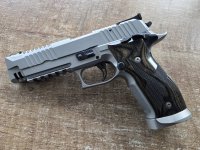 Sig sauer p226 x5 skeleton