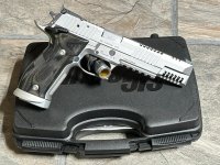 Sig Sauer x6 skeleton