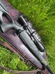 Sauer 404 Synchro XT