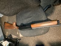 winchester super x 2 sporting