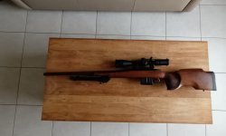 Cz 557 in cal 308wm