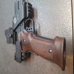 GSG 1911. 22 met reddot en compensator