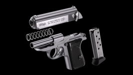 Walther PPK Stainless NIEUW (in .32 acp)